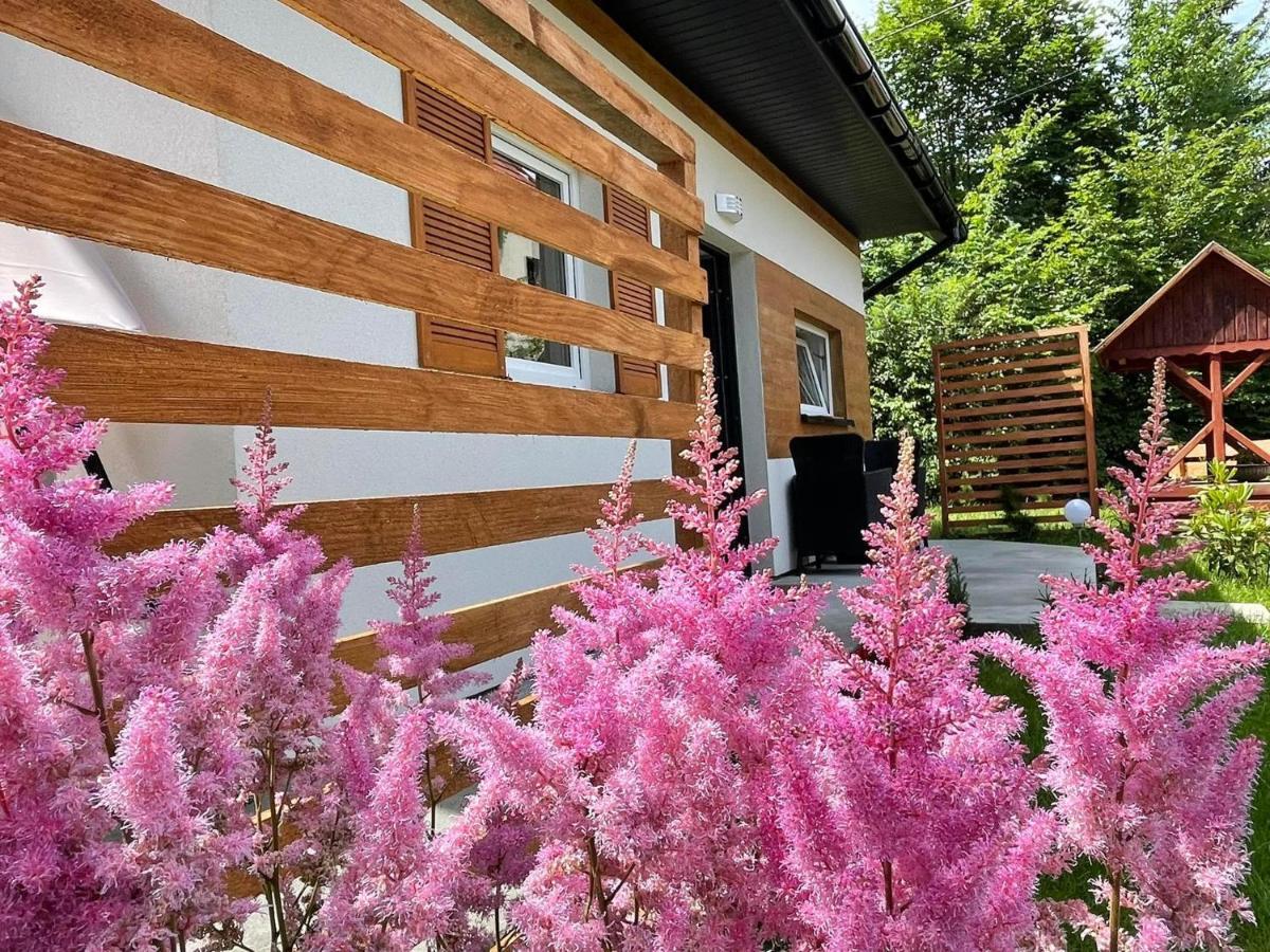 Domek Caloroczny Zagroda Mlynski Sułkowice Exterior foto